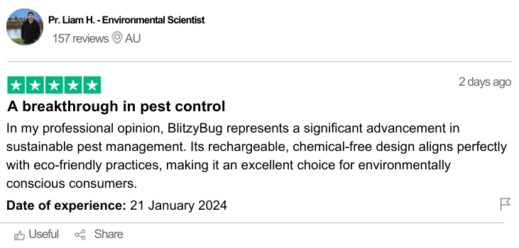 BlitzyBug review